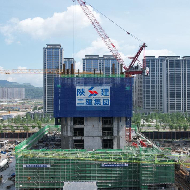 Hydraulic Formwork Climbing System